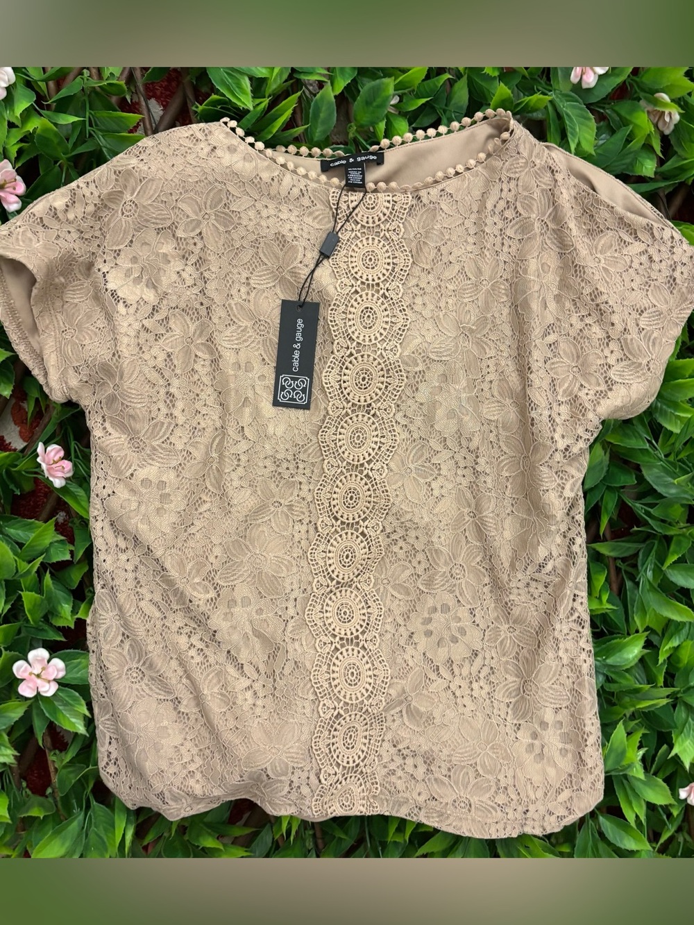 Cable & Gauge Beige Lace Short Sleeve Blouse